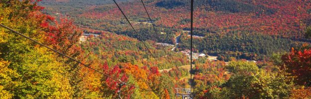 Gondola Peak Foliage Moments (8 of 9)